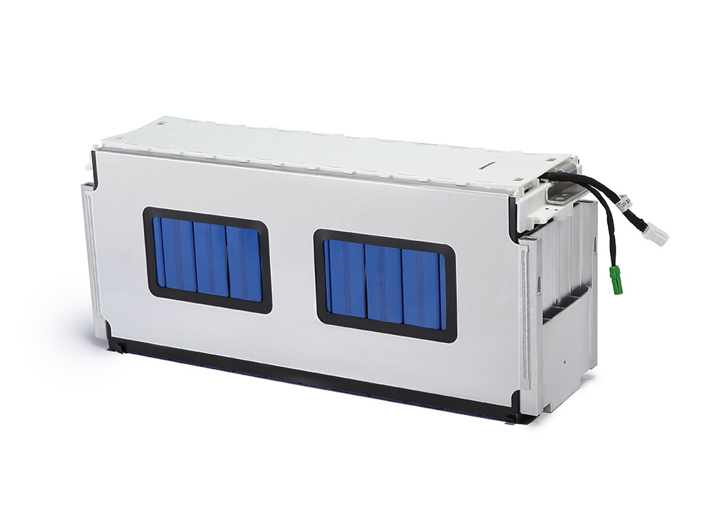 Customized LiFePO4 Battery Module